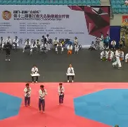 跆拳道超级杯掀起高潮，陇右白虎队强势横扫江南天狼队，老将里程碑之夜——快速转换撕裂防线的简单介绍-爱游戏官网